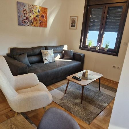 Mb Lux Apartment Vrnjacka Banja Exterior photo